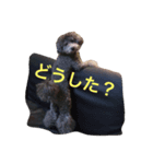 ロム（個別スタンプ：2）