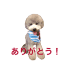 ロム（個別スタンプ：4）