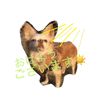 チワワのハニーです（個別スタンプ：7）
