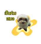My Dog in Memory（個別スタンプ：1）