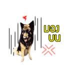 My Dog in Memory（個別スタンプ：5）