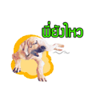 My Dog in Memory（個別スタンプ：9）