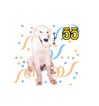 My Dog in Memory（個別スタンプ：11）