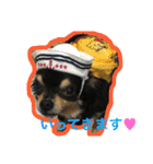 こてつすたんぷ。その2（個別スタンプ：1）