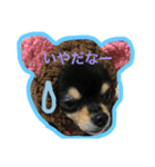 こてつすたんぷ。その2（個別スタンプ：4）