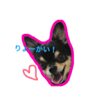 こてつすたんぷ。その2（個別スタンプ：5）