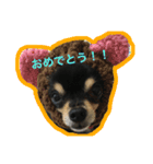こてつすたんぷ。その2（個別スタンプ：7）