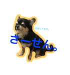 こてつすたんぷ。その2（個別スタンプ：11）
