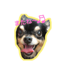 こてつすたんぷ。その2（個別スタンプ：13）