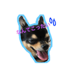 こてつすたんぷ。その2（個別スタンプ：14）