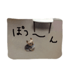 トムいぬさん（個別スタンプ：6）