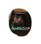 みぶちゃんだよ（個別スタンプ：8）