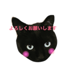 長居にゃんず（個別スタンプ：2）