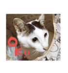 ミケネコつくし（個別スタンプ：1）