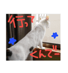 ミケネコつくし（個別スタンプ：15）