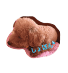 plumfamily2（個別スタンプ：10）