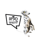 Dalmatian Love Love Rambo（個別スタンプ：3）