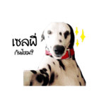 Dalmatian Love Love Rambo（個別スタンプ：6）