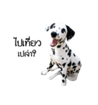 Dalmatian Love Love Rambo（個別スタンプ：7）