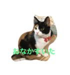 sakura-mike（個別スタンプ：2）