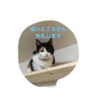 sakura-mike（個別スタンプ：4）