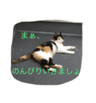sakura-mike（個別スタンプ：6）