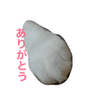 ねこ〜ず2（個別スタンプ：8）