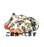 FROG 1day（個別スタンプ：1）