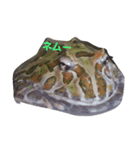 FROG 1day（個別スタンプ：4）
