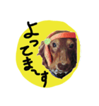 めるぼ（個別スタンプ：1）