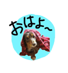 めるぼ（個別スタンプ：2）