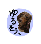めるぼ（個別スタンプ：4）