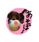 めるぼ（個別スタンプ：5）
