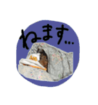 めるぼ（個別スタンプ：7）