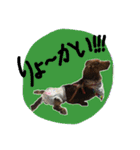 めるぼ（個別スタンプ：8）