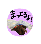 めるぼ（個別スタンプ：9）