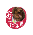 めるぼ（個別スタンプ：10）