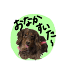 めるぼ（個別スタンプ：12）