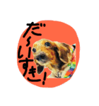 めるぼ（個別スタンプ：14）
