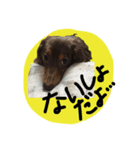 めるぼ（個別スタンプ：15）