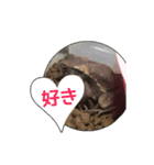 ヒキガエルの日常（個別スタンプ：4）