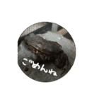 ヒキガエルの日常（個別スタンプ：5）