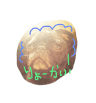 犬さんのスタンプ（個別スタンプ：6）