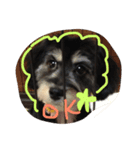 犬さんのスタンプ（個別スタンプ：8）