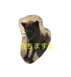 くろっぴーの日々（個別スタンプ：2）