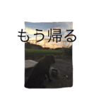 くろっぴーの日々（個別スタンプ：4）
