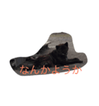 くろっぴーの日々（個別スタンプ：7）