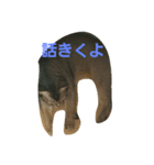 Moka Elder sister（個別スタンプ：4）
