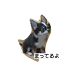 そら君2（個別スタンプ：14）