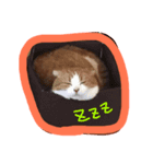 でるたん7（個別スタンプ：7）